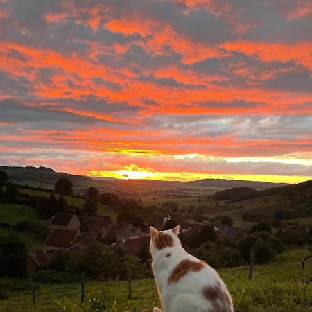 La Petite Maison Dans La Campagne Massingy-lès-Vitteaux Extérieur photo
