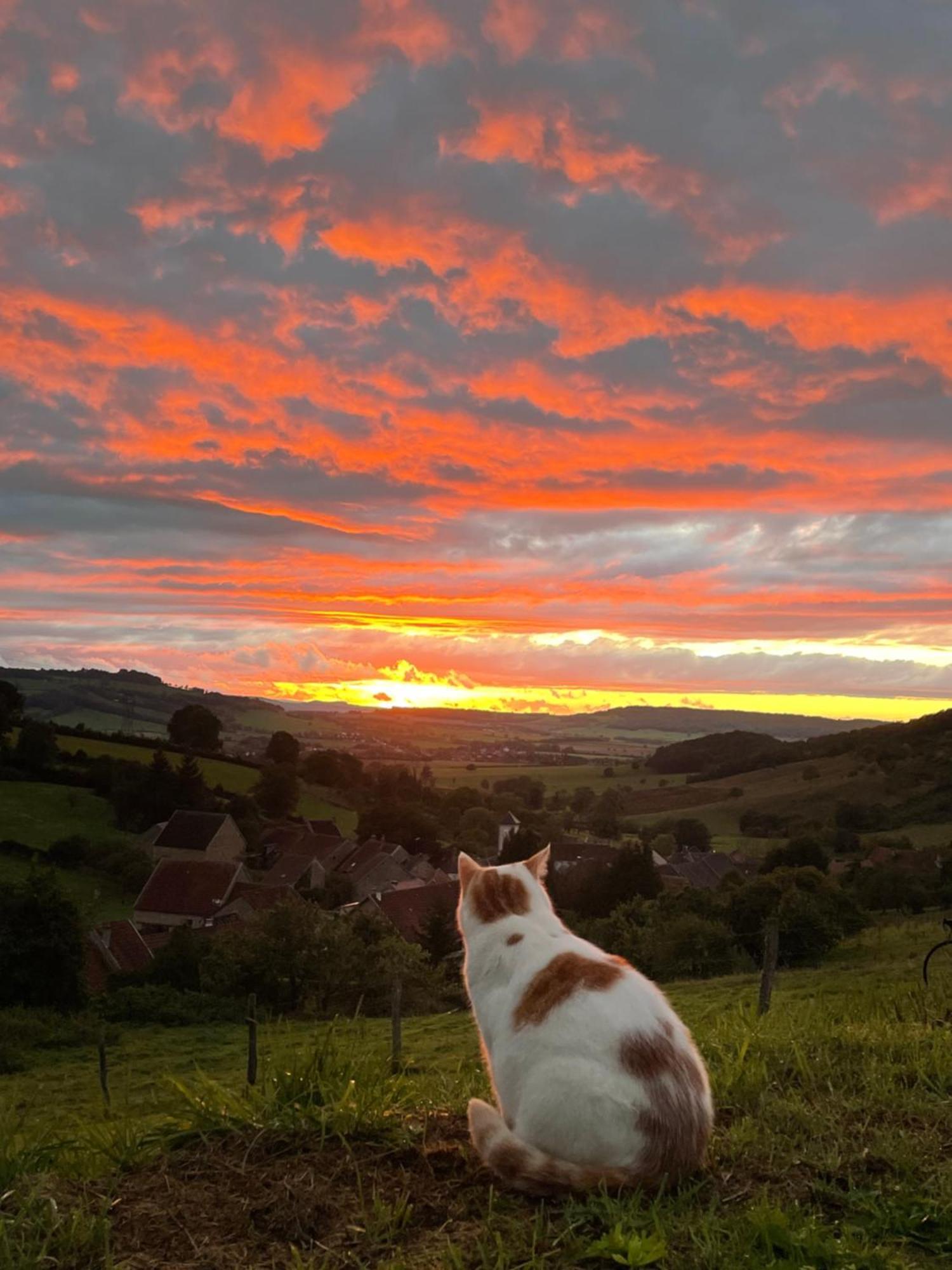 La Petite Maison Dans La Campagne Massingy-lès-Vitteaux Extérieur photo