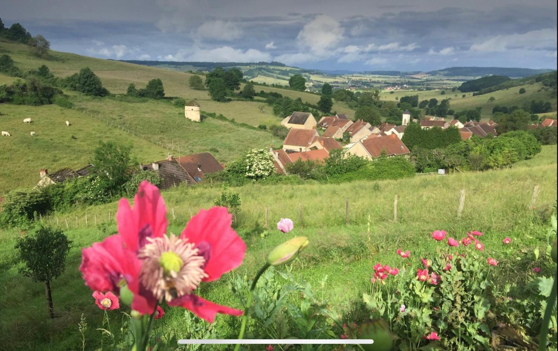 La Petite Maison Dans La Campagne Massingy-lès-Vitteaux Extérieur photo